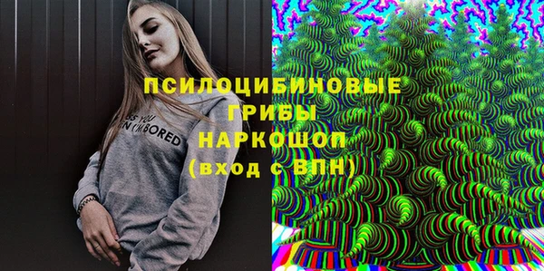 экстази Каменка