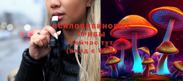 экстази Каменка